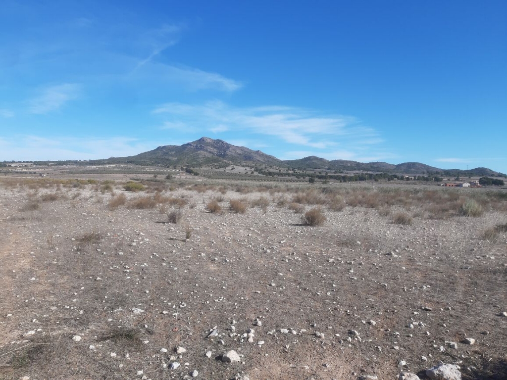 Land in Salinas