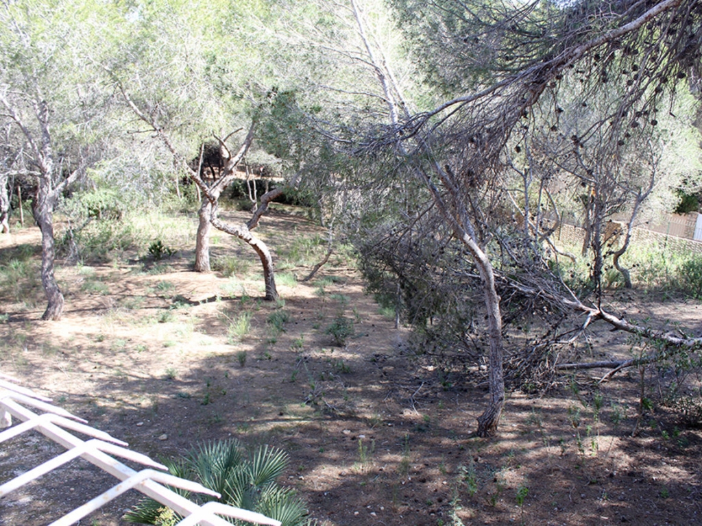 Land in Dehesa De Campoamor